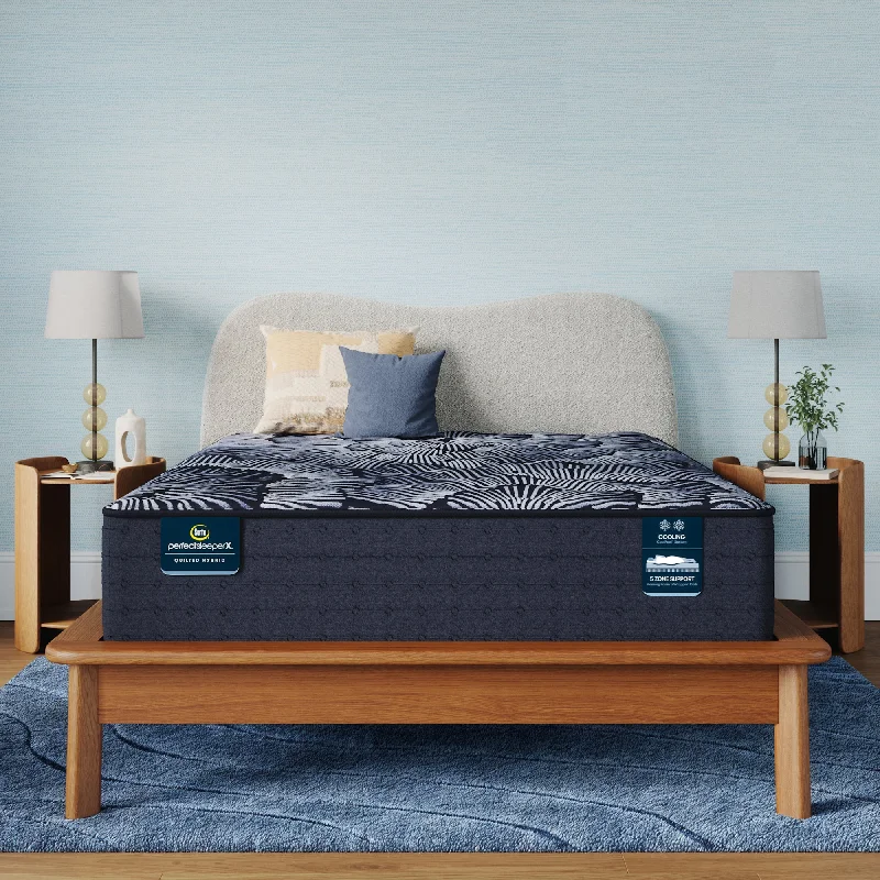 Queen - size mattresses for couples and standard bedroomsSerta Perfect Sleeper X Quilted Knox Plush Mattress